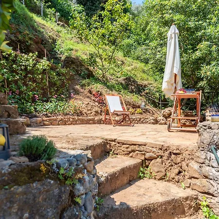 Sea View In Paraggi * 波托菲诺