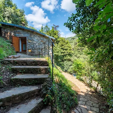 Sea View In Paraggi *